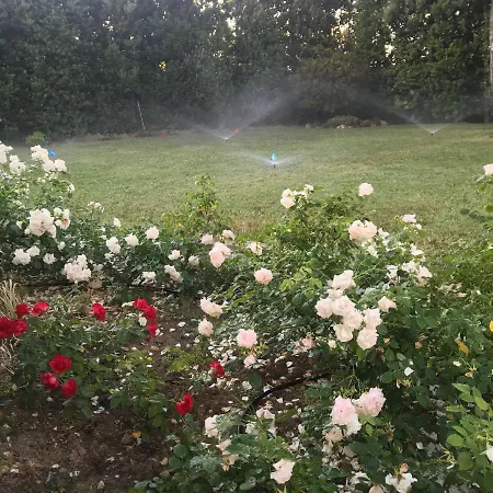 Fioreconero Bed & Breakfast 3*