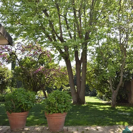 Fioreconero Bed & Breakfast Montacuto