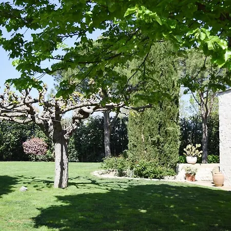 Fioreconero Bed & Breakfast 3*