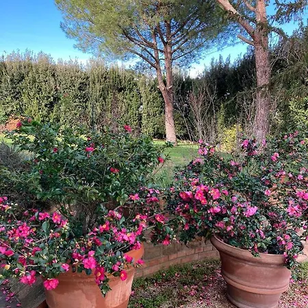 Fioreconero Bed & Breakfast