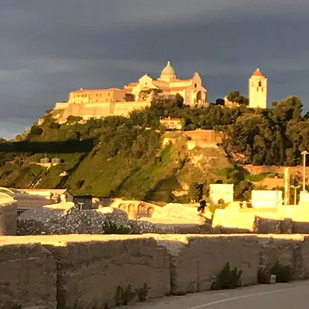 Fioreconero Montacuto