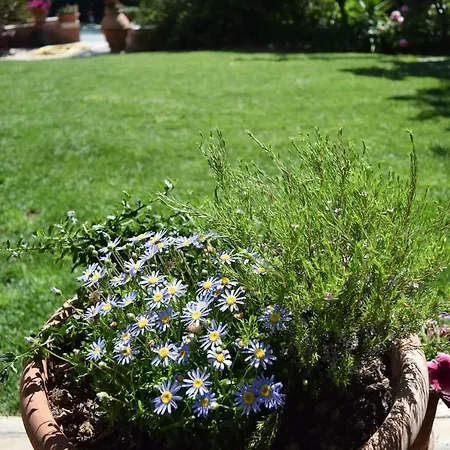 ベッド・アンド・ブレックファスト Fioreconero