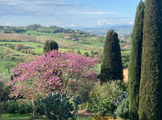 Fioreconero Bed & Breakfast Montacuto