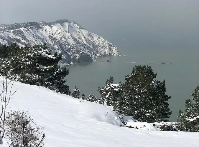 Bed & Breakfast Fioreconero 3*