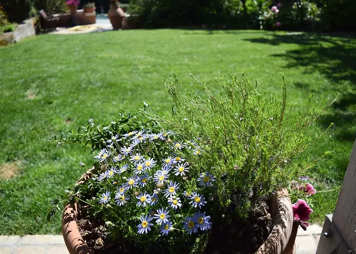 Bed and breakfast Fioreconero